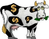Get yourself a poker cash cow - ebook explains how!